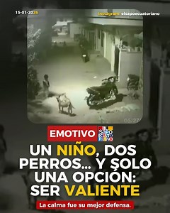 Frente al miedo, el niño no corrió ni gritó. Permaneció firme, demostrando que a veces no queda más alternativa que enfrentar lo que asusta. Una escena que da sentido real a la frase: “No le quedaban más alternativas que ser valiente”. #valentia #reflexion #fuerzainterior #lecciondevida #momentoreal #viral #aprendizaje | El Sapo de Ecuador