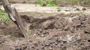 Digging soil in a garden for planting new flowers