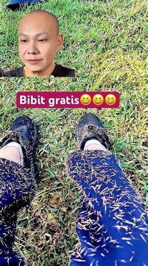 Tinggal tanam😂😂😂 #ngakak #lucu #reaction