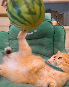 713K views · 13K reactions | These special effects will make you double-check | Simple Life | Facebook