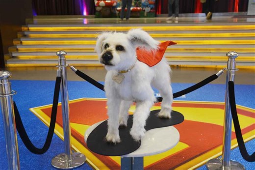 Krypto the Superdog returns in 4 new shorts with Superman movie release