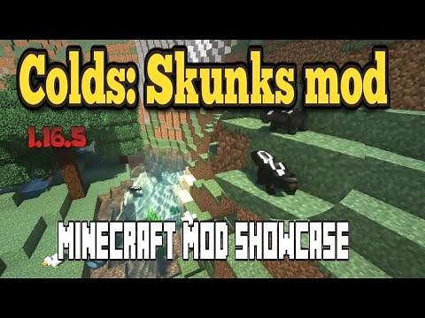 Minecraft 1.16.5 - Skunks mod