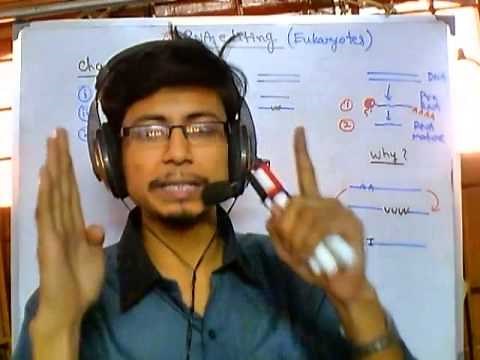 RNA editing introduction