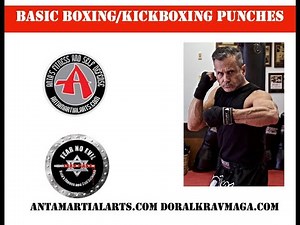 Basic Boxing/Kickboxing Punches