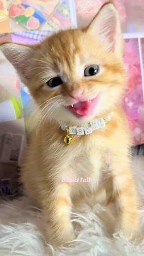 මගේ සෝස මල 🥹💗 #beadedjewelry #beadstalk #beadnecklacesrilanka