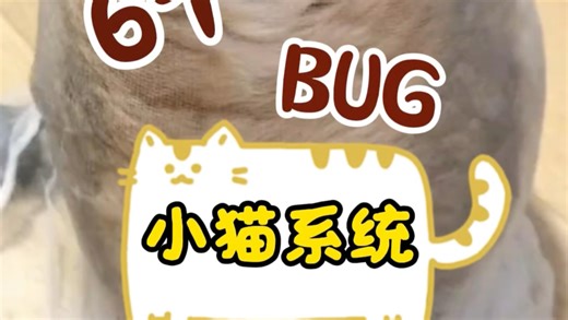 你知道如何利用小猫系统解决养猫难题吗？