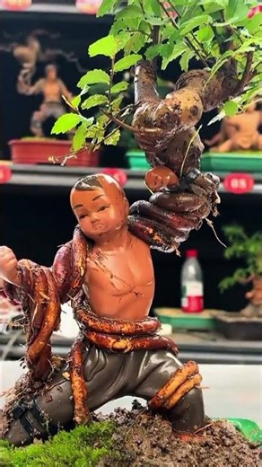 Flower Root Growth Stages | Amazing Plant Root Development Time-Lapse #basittech