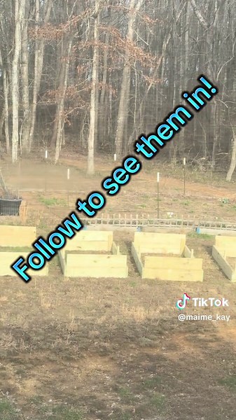 First steps of the garden makeover. Building and adding new beds. #garden #gardening #grow #raisedbeds #diy