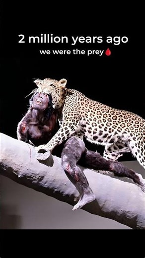 Before Humans Hunted… We Were the Ones Being Hunted