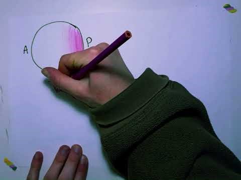 The interplay of chemistry and mechanics in morphogenesis