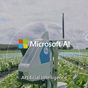 388 reactions · 74 shares | What if you knew exactly when to plant, when to water, and when to harvest to create more food and less waste? The Yield uses Microsoft AI to take the guesswork out of farming. | Microsoft | Facebook