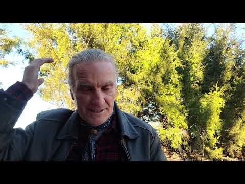 15/365 1-15-26 Thru A Course In Miracles w/Will-E. Esseckaphutchala