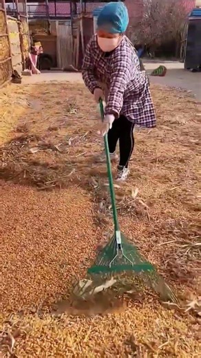 Rural Realities: A Heartwarming Journey Through Chinese Farmlands
