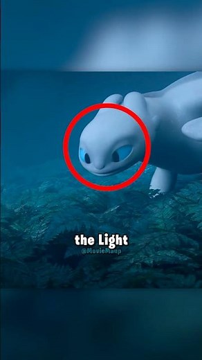 The TRUTH behind Toothless and Light Fury...