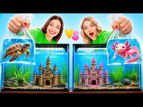 We Build Amazing Aquarium | Axolotl vs Turtle Challenge by Multi DO Smile