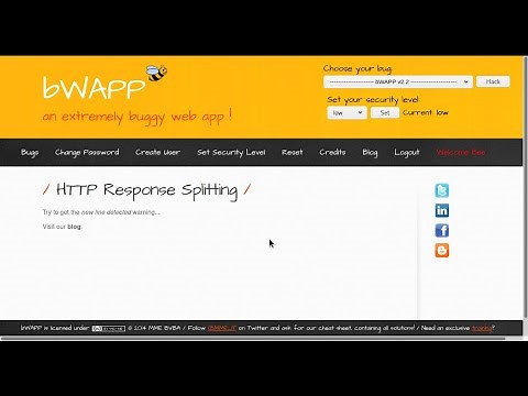HTTP Response Splitting