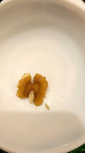 48K views · 434 reactions | #bodybuilder | Real Herbal power | Facebook