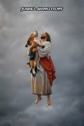 Jesus offers a better life to dogs #jesus #jesuschrist #dog