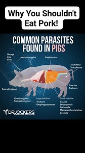 2.3K views · 14 reactions | Why You Shouldn't Eat Pork 13 Great...