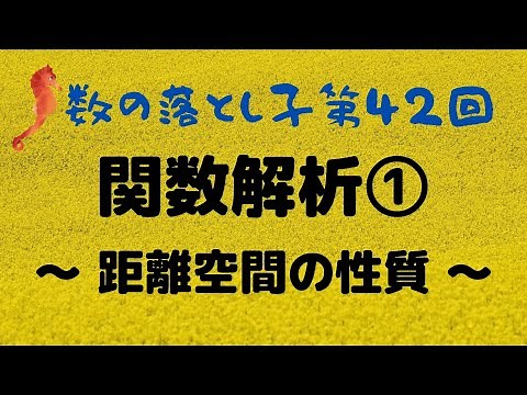 関数解析① ~ 距離空間の定義 ~