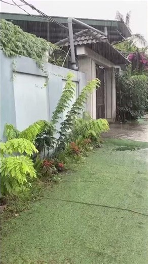 Rain Sounds for Sleeping – Thunderstorm and Rain That Help You Sleep Instantly