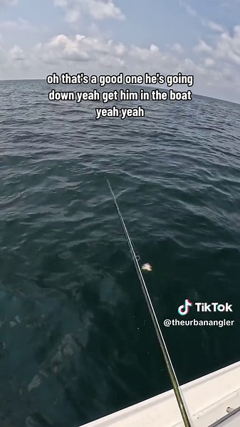 Deep Sea Fishing Tips: Chumming for Snapper | Watch Me Catch Two Snapper on the Fly!