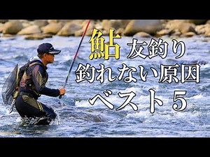 Top 5 reasons why you can't catch sweetfish