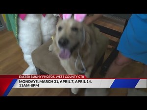 Mall Easter Bunny Photos