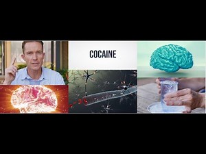 What effect does cocaine have on your brain... and how does it affect your health?