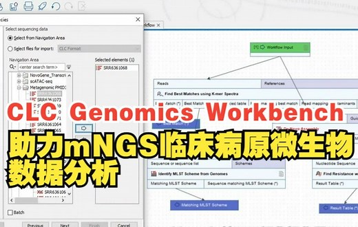 如何一键进行mNGS taxonomy、耐药性分析和MLST分型等分析？