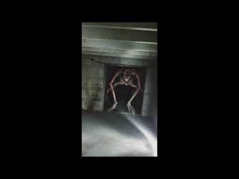 Missed Connections Sound Effect