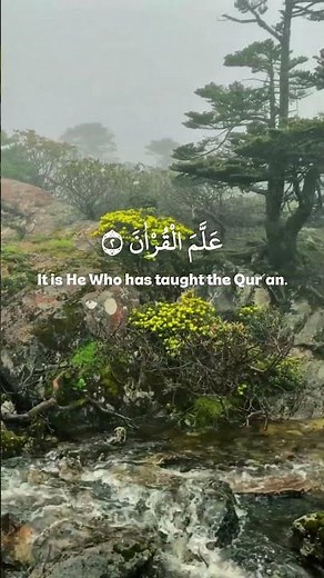 Beautiful Quran Recitation Sheikh Muhammad Siddiq Al-Minshawi | Surah Ar-Rahman | سورة الرحمن #quran