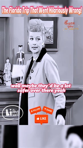 The Florida Trip That Went Hilariously Wrong! | Flashback To The 60s70s80s90s