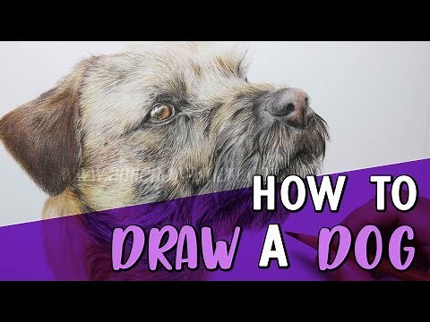 HOW TO DRAW A DOG | Coloured Pencil Tutorial