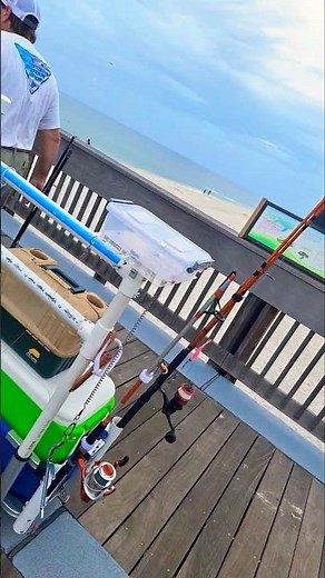 pier fishing gulf shores alabama