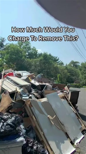 How Much Would You Charge To Remove This? Junk Removal Pricing Explained