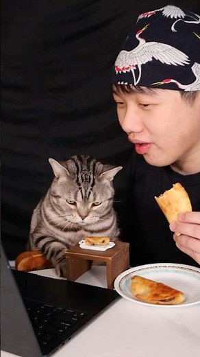 Movie time with my cat😸