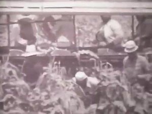 10K views · 129 reactions | Farming in the 50 s | Farmer Life | Facebook