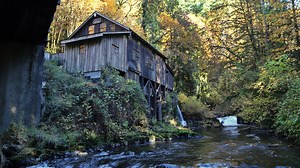 52K views · 122 reactions | Has the autumn weather got you thinking of turning leaves and apple cider? Then check out this evocative video essay shot by Michael Bendixen and edited by Todd Sonflieth! | Oregon Field Guide | Facebook