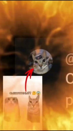 смiхуятiнка🤣🤣🤣🤣🤣🤣 #gorebox #горебокс #memes #edit #history #minecraft #invincible