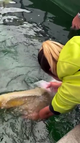 Extraordinary Encounters with Nature’s Creatures