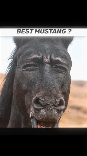 car editing #automobile #professionaldrifter #cardrifting #edit #driftingguru #carstunt #caredit