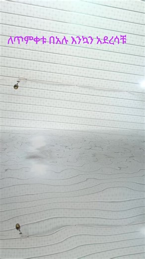 kahsayasefa223 (chelsea) (@kahsayasefa)’s videos with original sound - እናታችን ቅድስት ድንግል ማርያም እወዳታለን😍