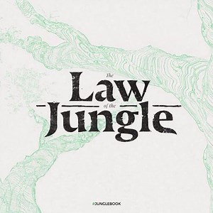 1.9K views · 81 reactions | The first clip from The Jungle Book is...