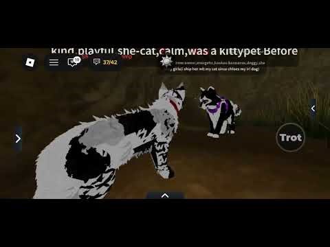 Warrior cats frost in shadowcaln