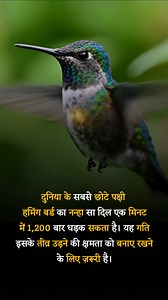 Tiny Birds #AnimalFacts #NatureWonders | Gk update
