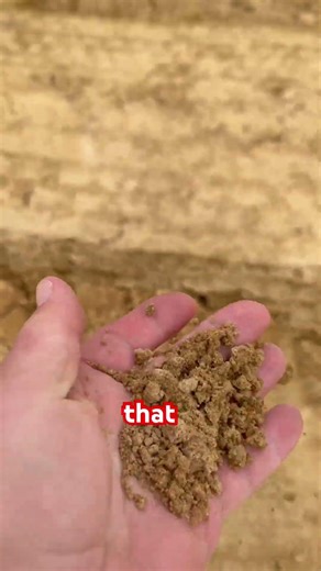 Getting sand from the pit #Contractor #trucking #sand￼￼