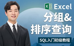 [4/4]SQL入门初级教程-分组&排序查询-Alex The Analyst