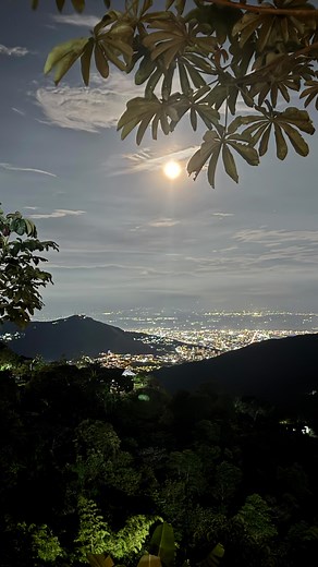 3K views · 38K reactions |  HAY UNA BELLEZA PROFUNDA EN CÓMO...