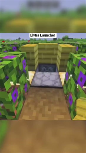 How to make elytra Launcher in minecraft #shortsfeed #minecraft #shorts #shortvideo #trending